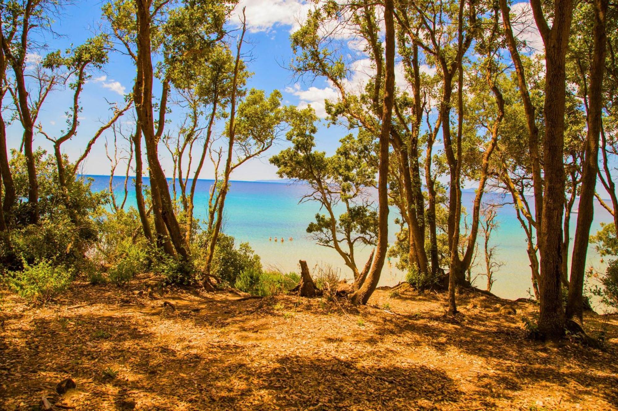 Oasimaremma Village สการ์ลีโน ภายนอก รูปภาพ