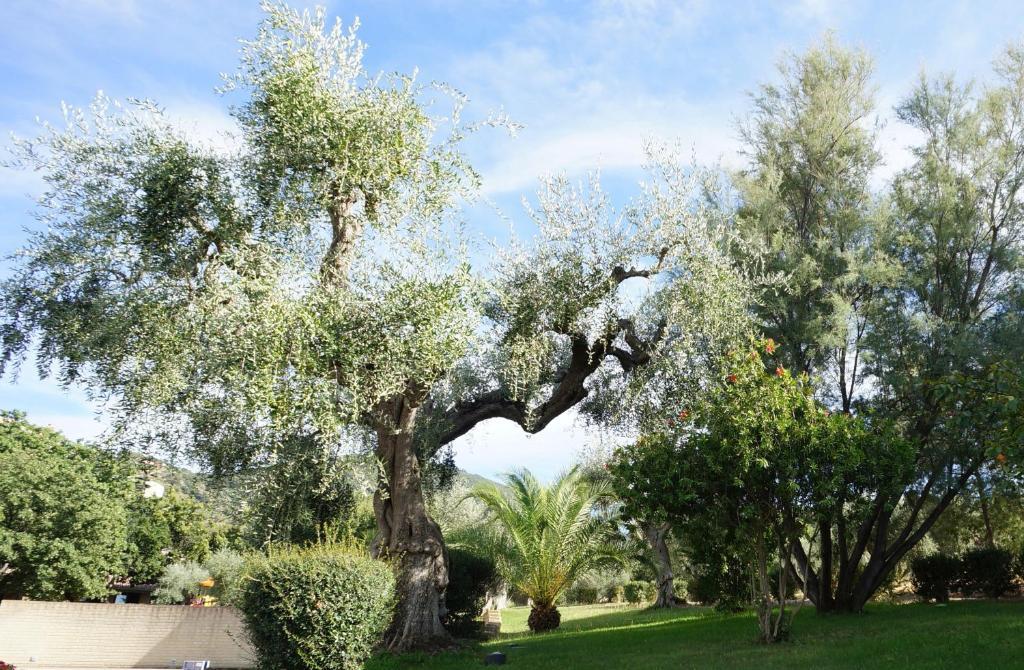 Oasimaremma Village สการ์ลีโน ภายนอก รูปภาพ